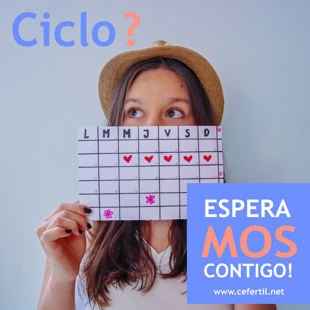 mujer con calendario días fértiles